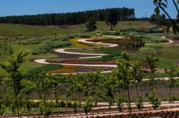 Mátria Parque de Flores em São Francisco de Paula – 30% OFF