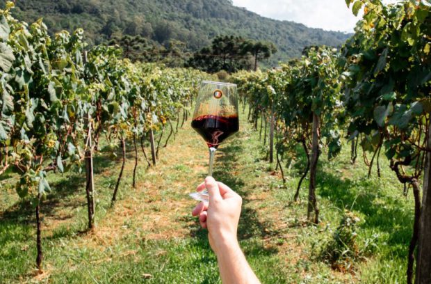 Vinícola Jolimont – 5% OFF e 01 vinho